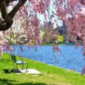 Spring season