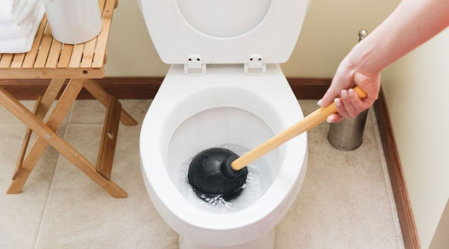 Expert Advice for When a Toilet Backs Up Drainiacs